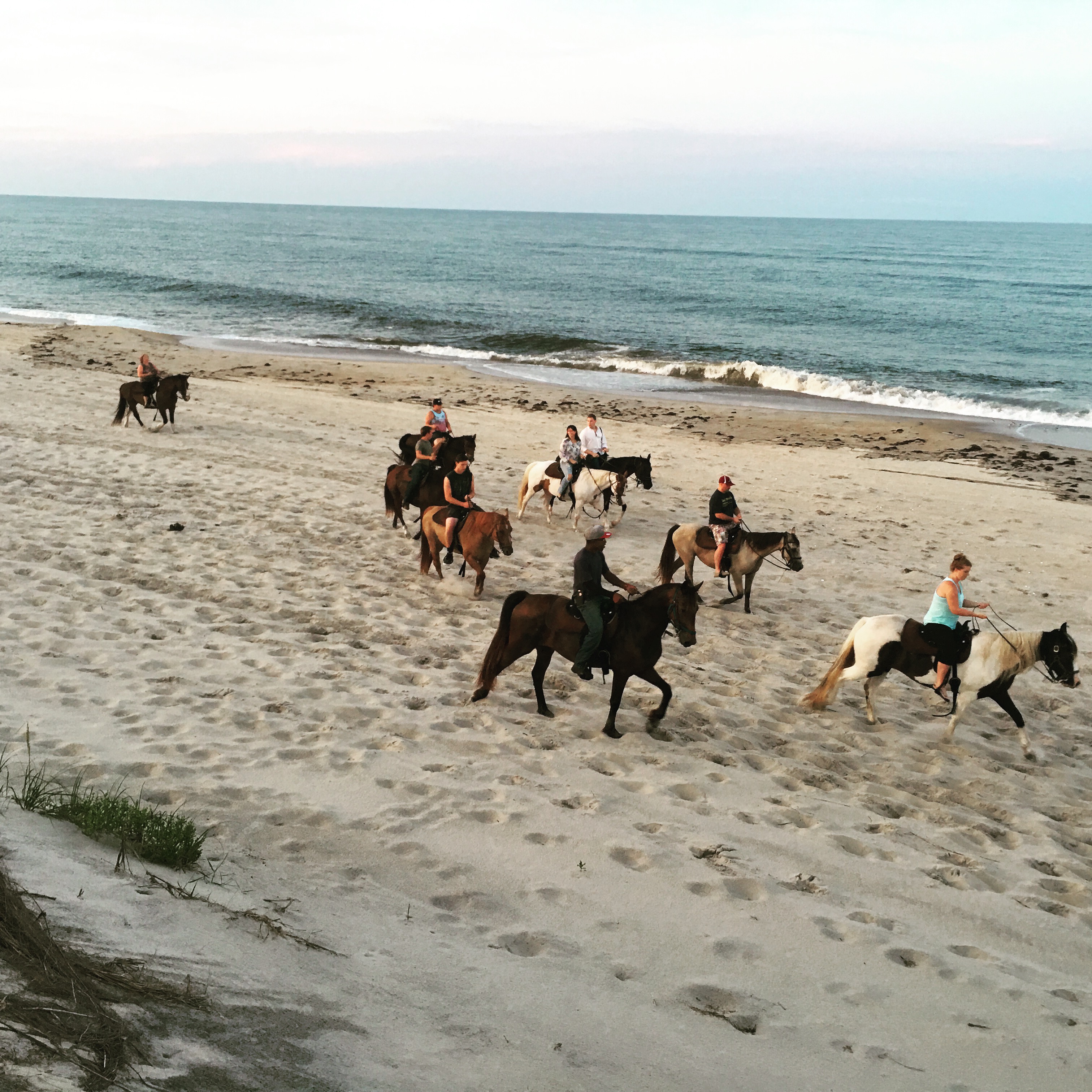 OUTER BANKS HORSEBACK Deals & Promos